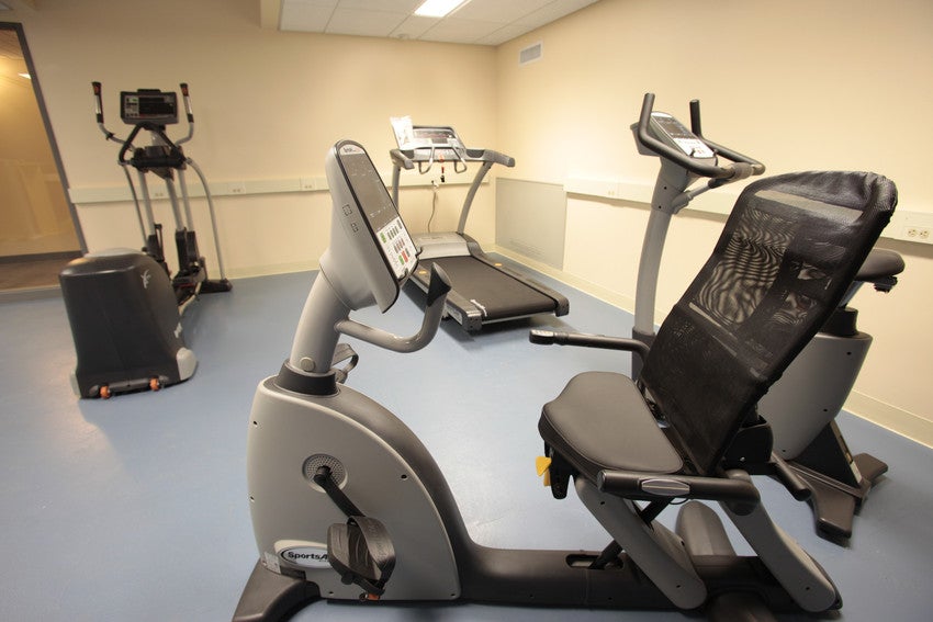 Fitness machines: treadmill, bike, and elliptical.
